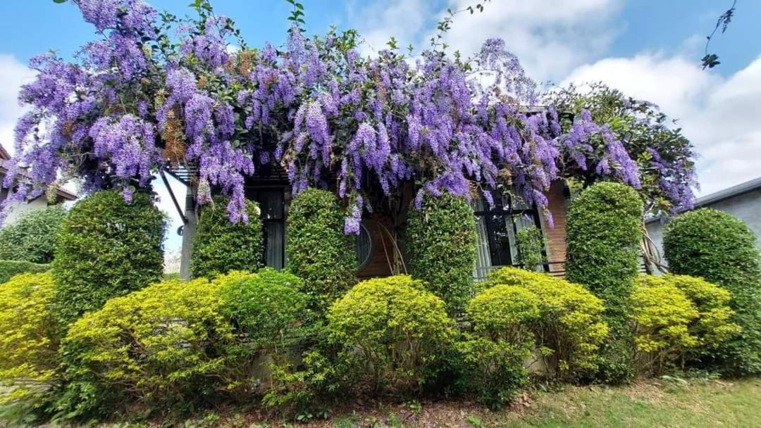 Casa Foresta Nan Luaran gambar